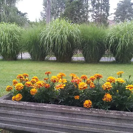 منزل للإقامة Hajas Familia Kiado Szobak Balatonmáriafürdő