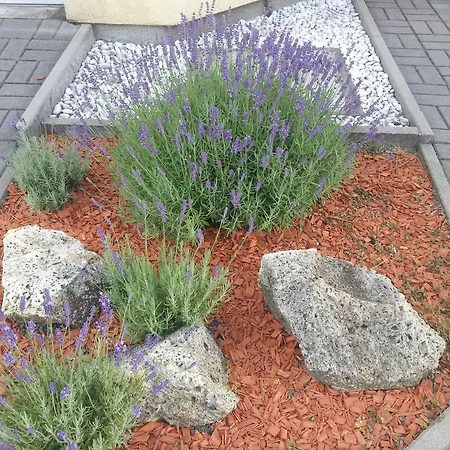 Hajas Familia Kiado Szobak Balatonmáriafürdő