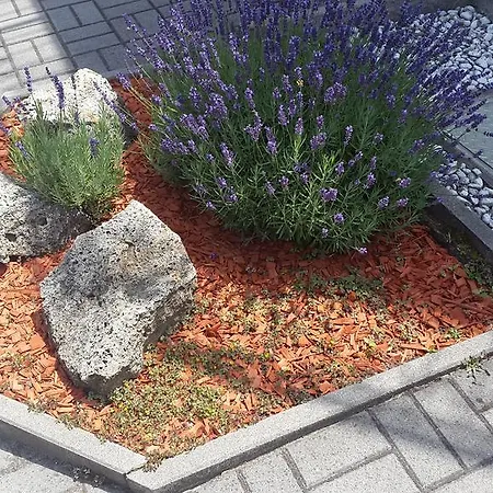 Hajas Familia Kiado Szobak Balatonmáriafürdő