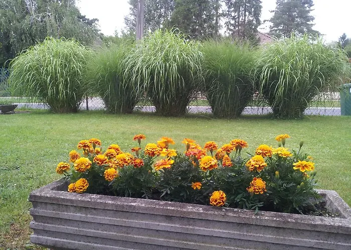 בית אירוח Hajas Familia Kiado Szobak Balatonmáriafürdő