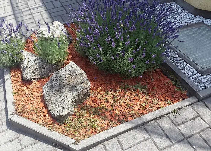 Hajas Familia Kiado Szobak Balatonmáriafürdő